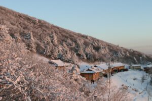 Vé Thuỷ Cung Lotte World Hà Nội